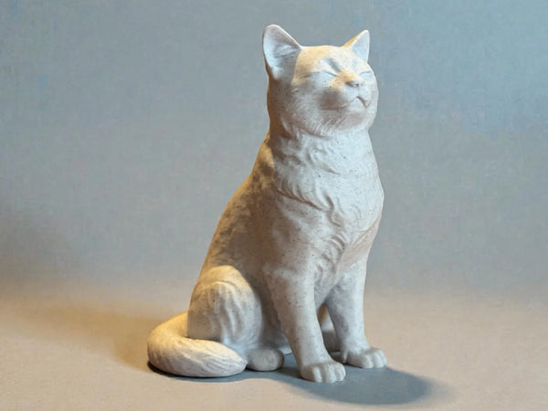 Calm Companion Cat