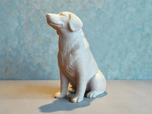Calm Companion Labrador