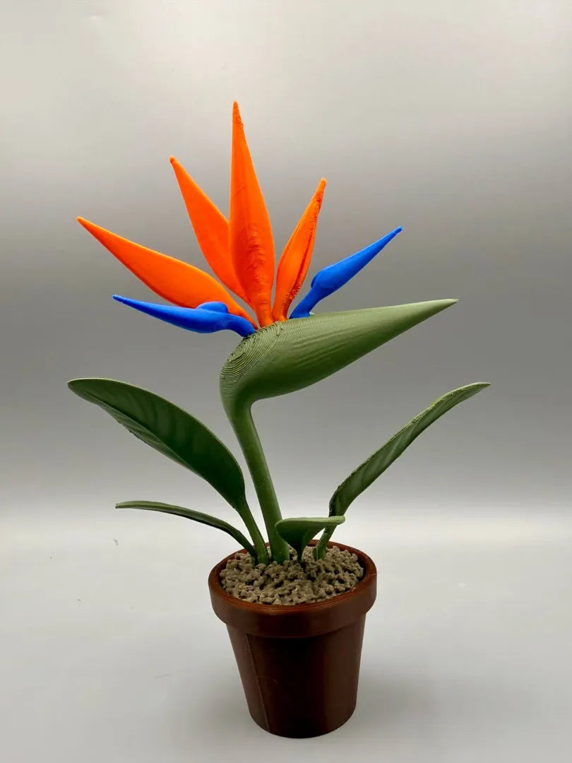 Grumpy Bird of Paradise sculpture, back view