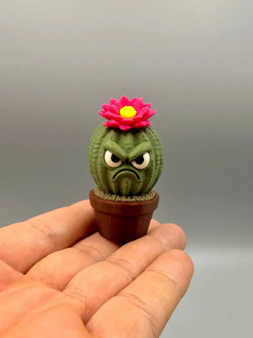 Grumpy Cactus Flower held in a hand to show its size