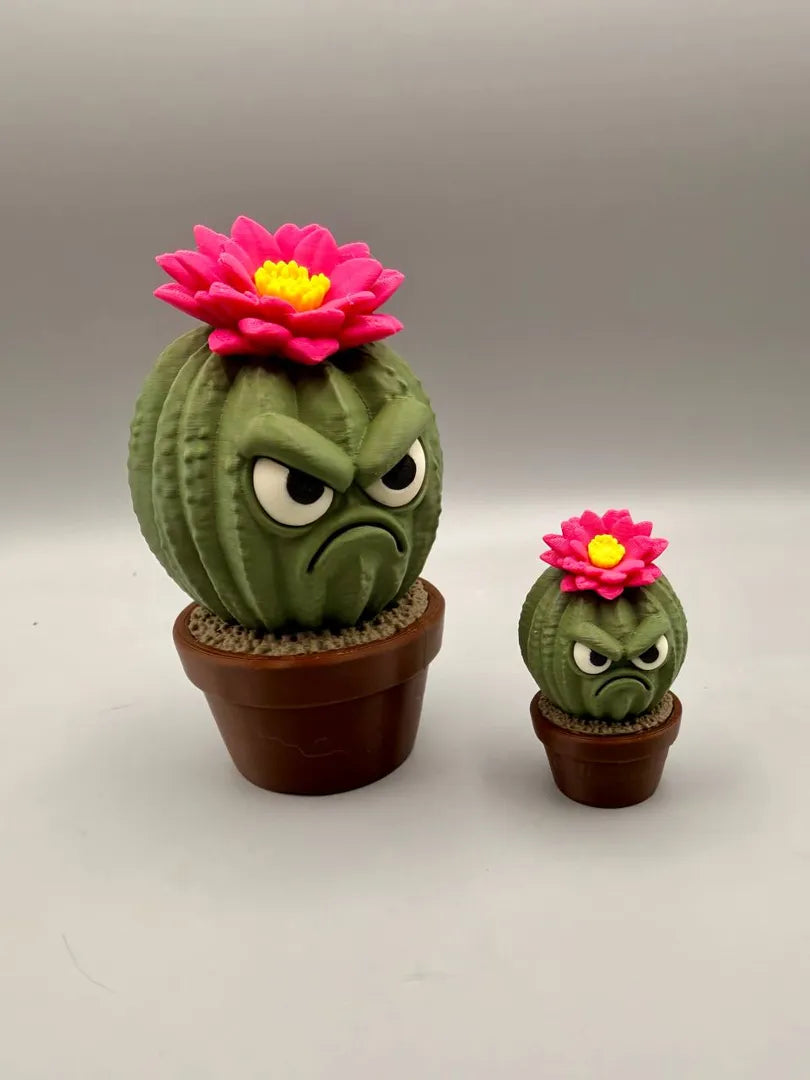 Grumpy Cactus Flower shown alongside a companion print