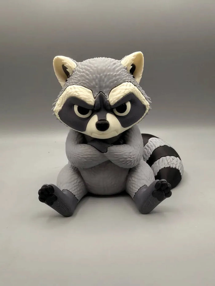 Grumpy Raccoon