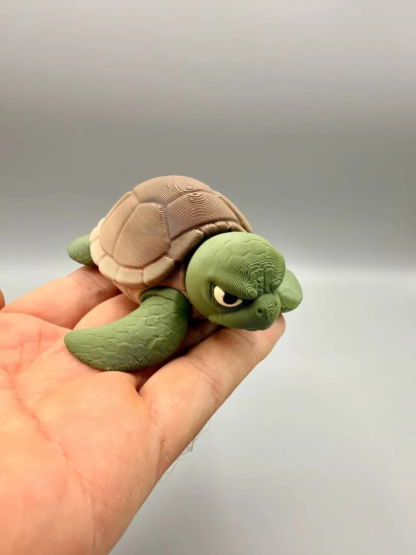 Grumpy Sea Turtle held in a hand to show its size