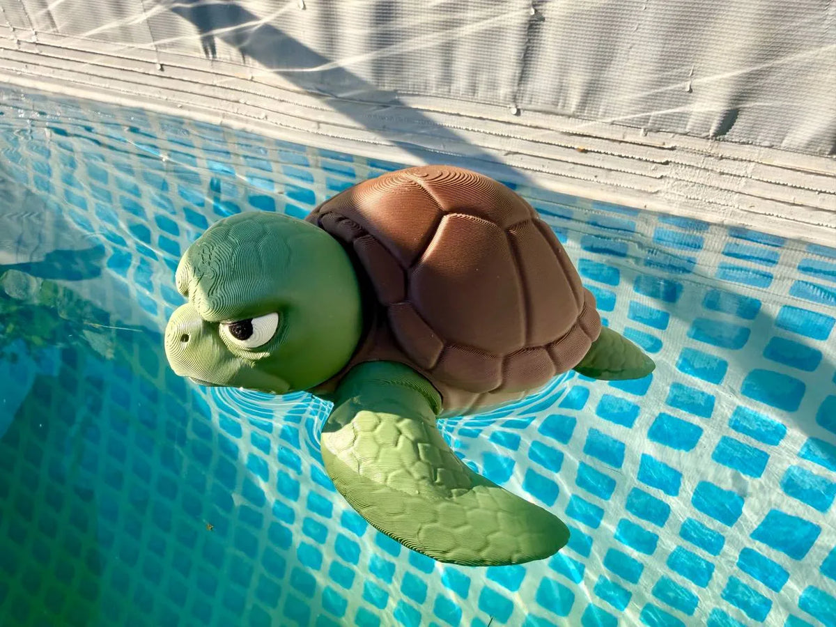Grumpy Sea Turtle floating in water