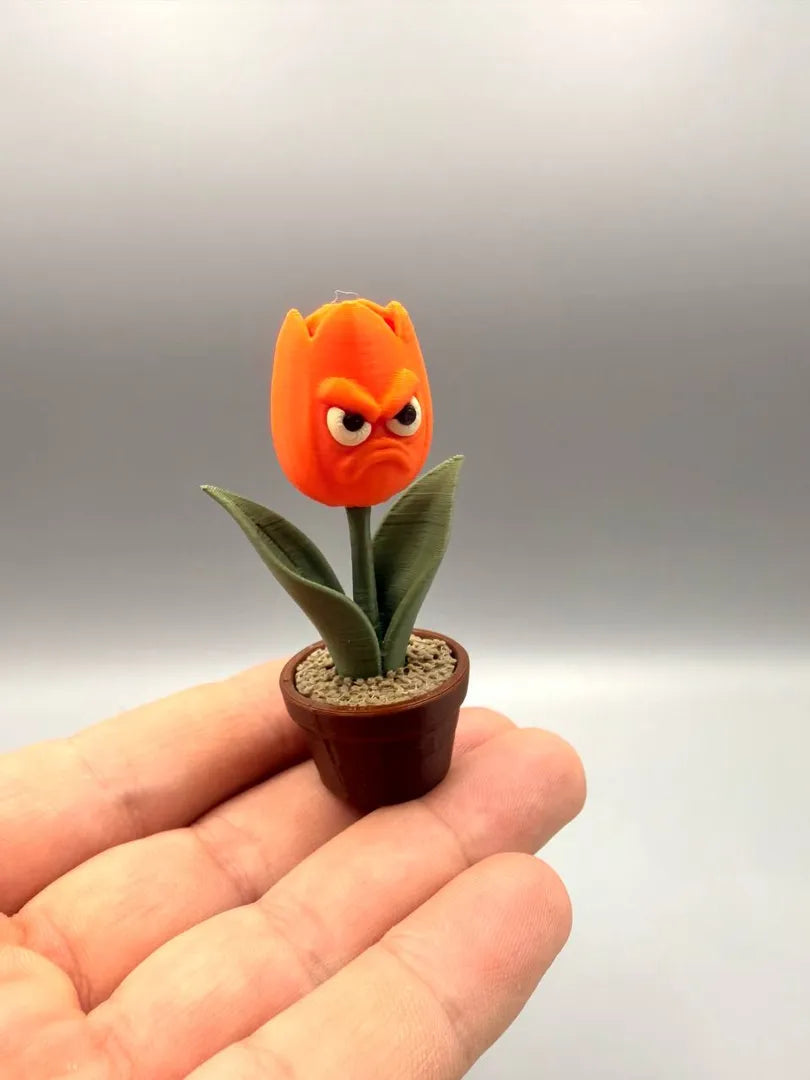 Grumpy Tulip held in a hand to show its size