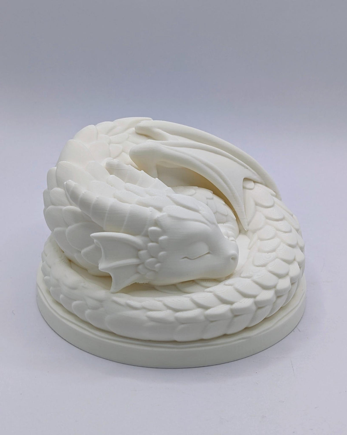 Sleeping Baby Dragon