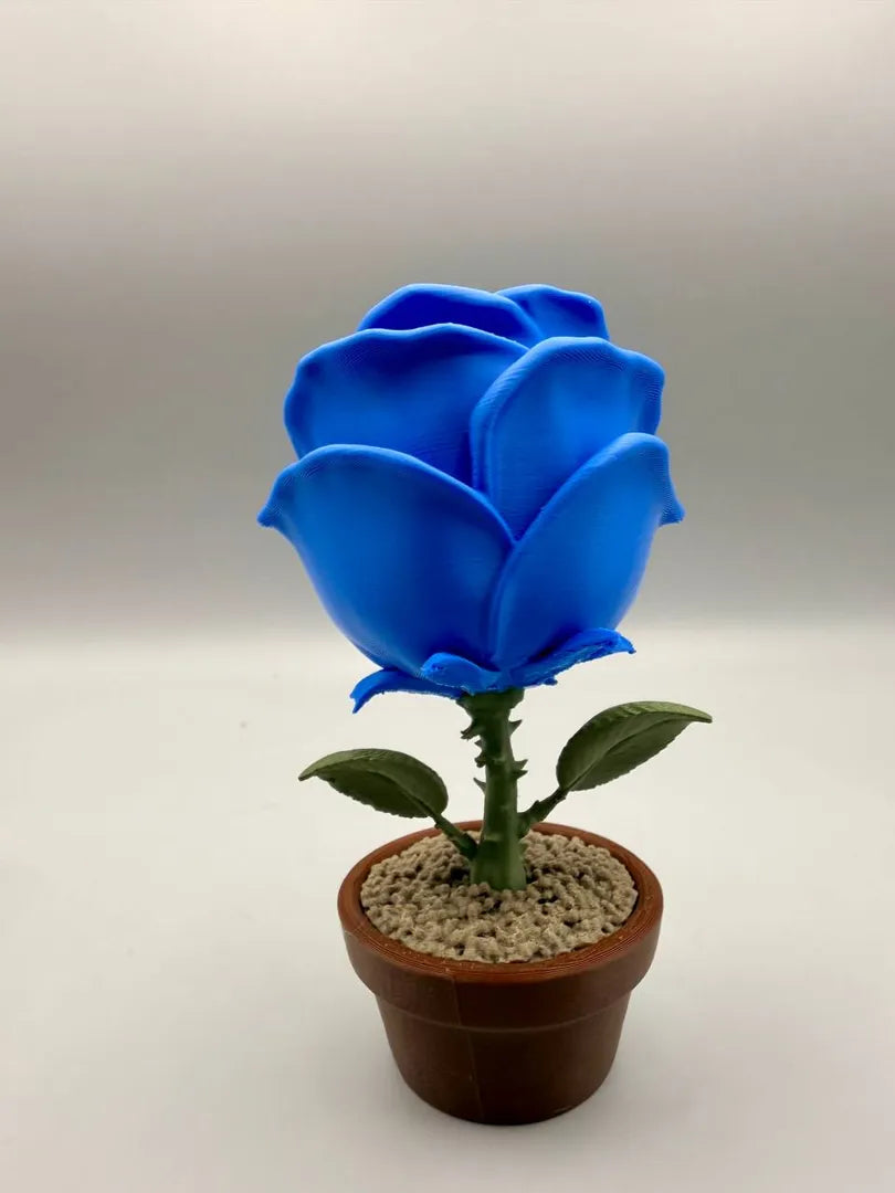 Smiling Rose sculpture, back view