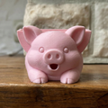 Blip the Pig Sponge Holder
