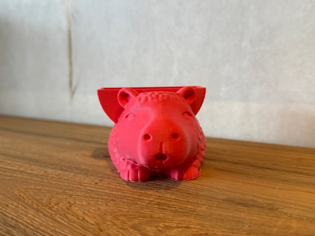 Blush the Capybara Sponge Holder