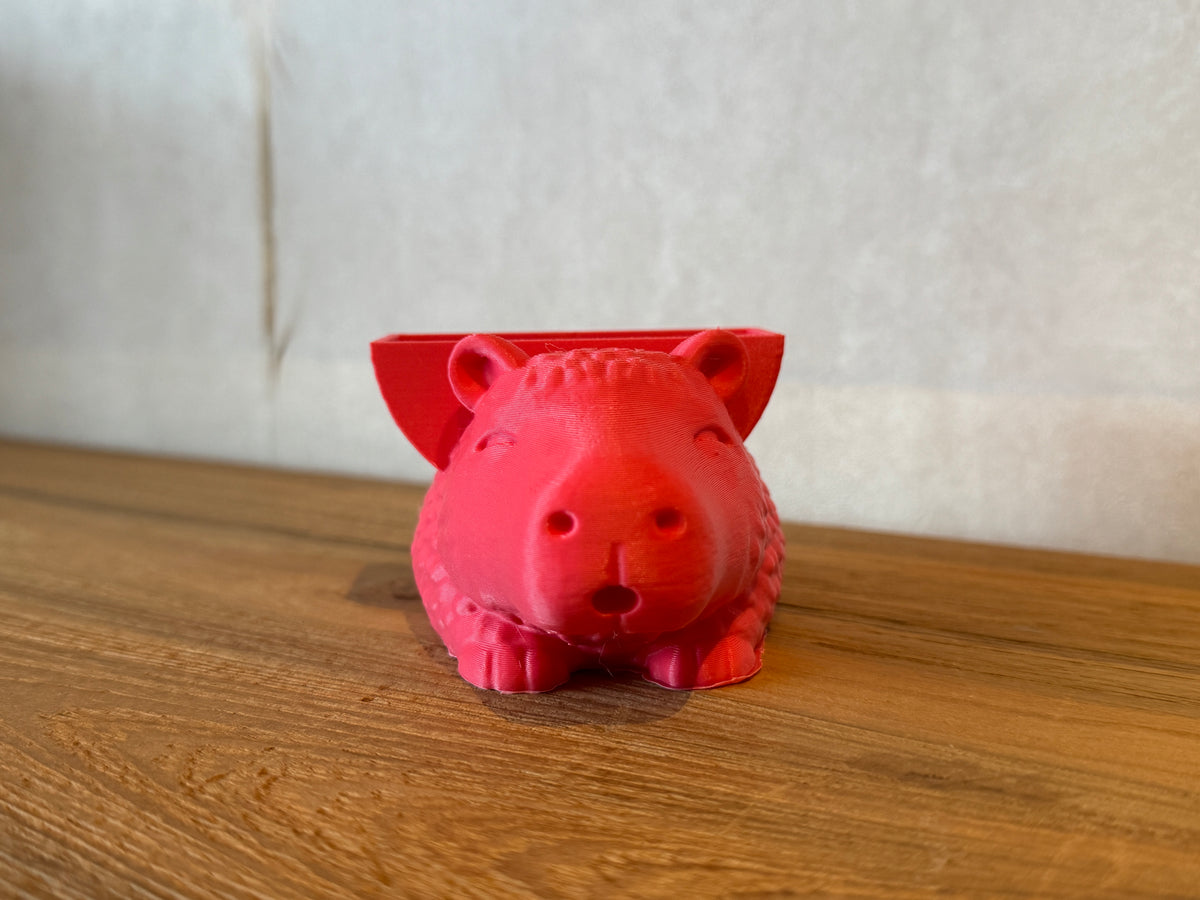 Blush the Capybara Sponge Holder