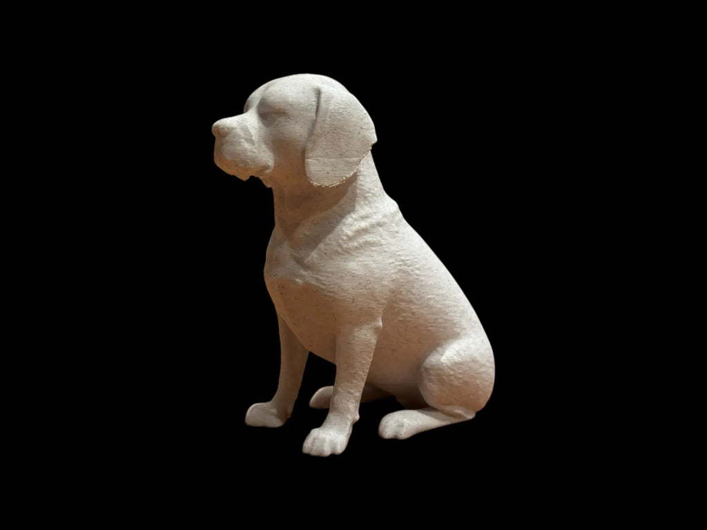 Calm Companion Beagle