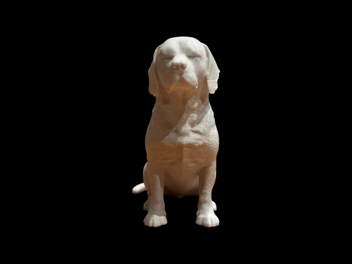 Calm Companion Beagle