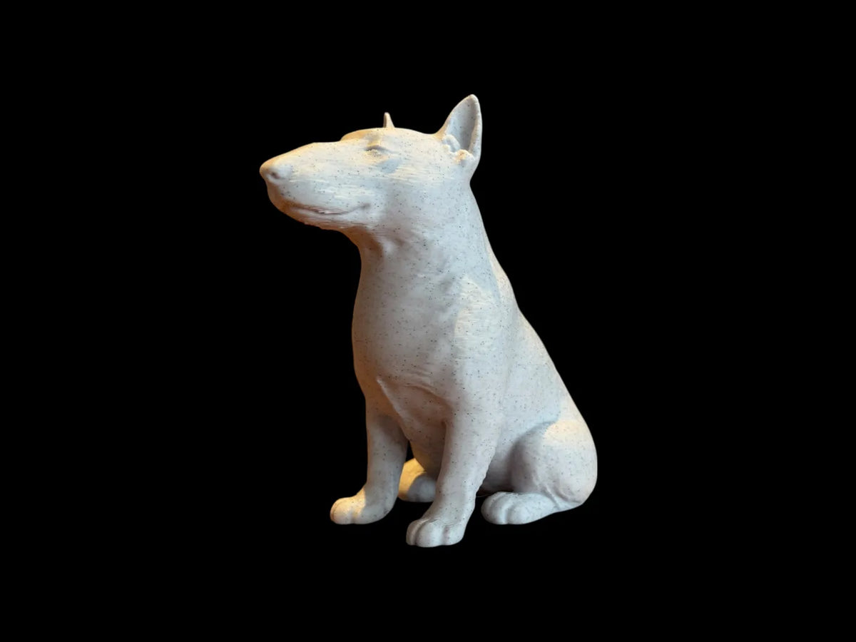Calm Companion Bull Terrier