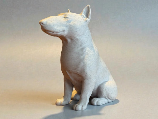 Calm Companion Bull Terrier