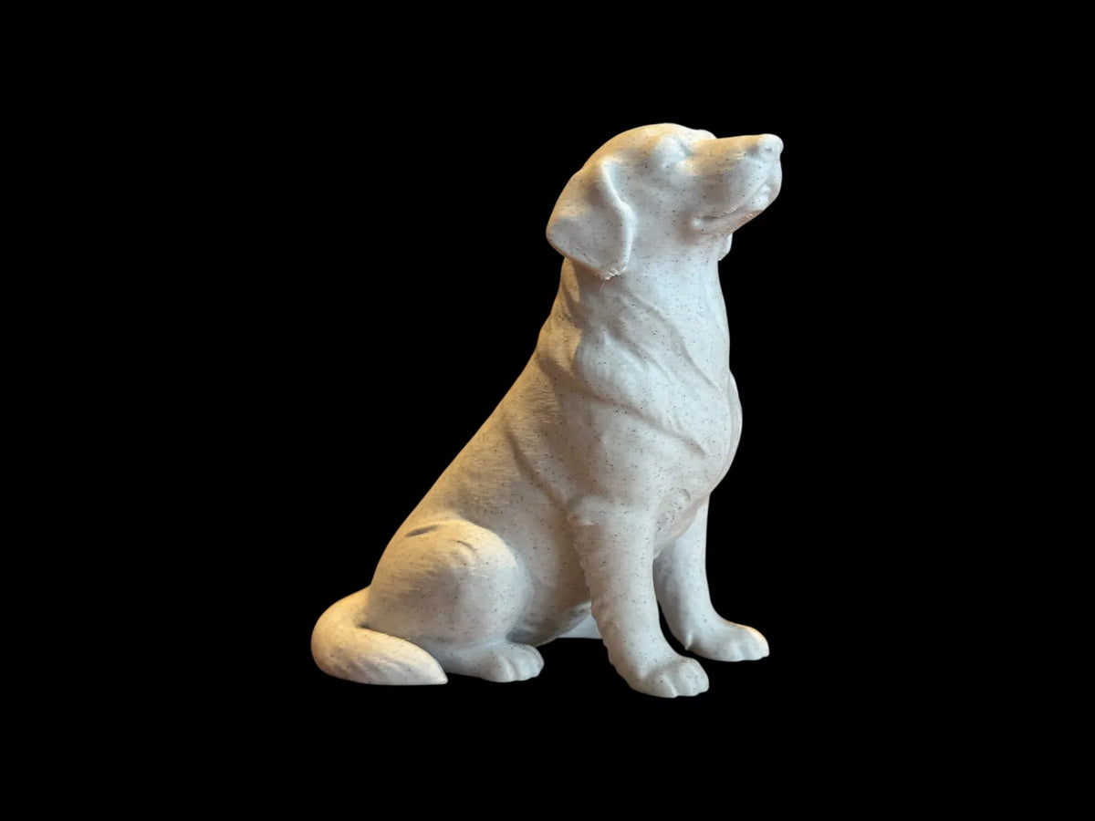 Calm Companion Labrador