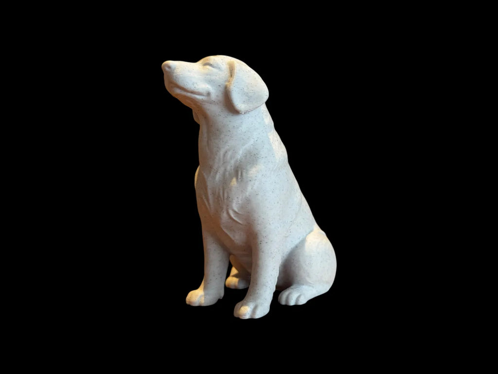Calm Companion Labrador