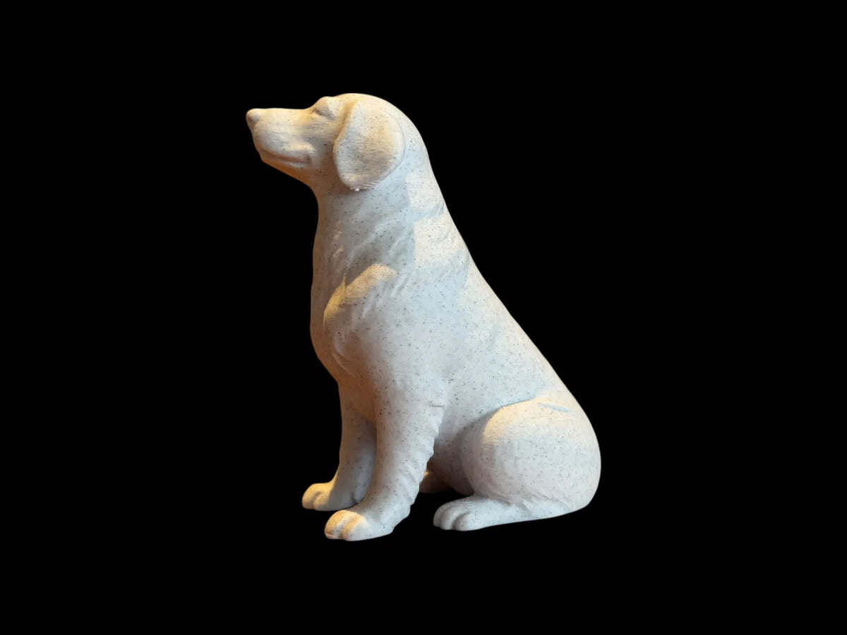 Calm Companion Labrador