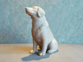 Calm Companion Labrador