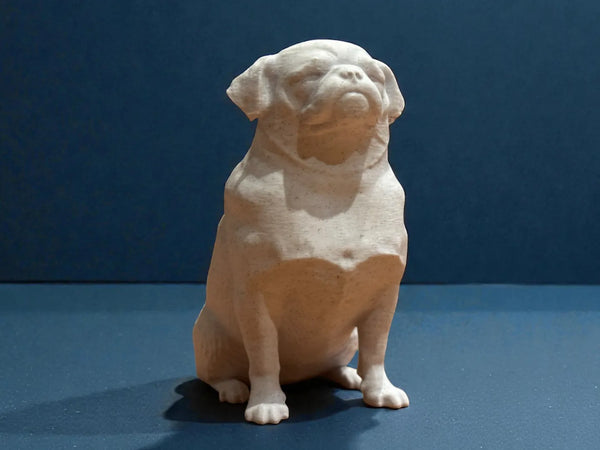 Calm Companion Pug
