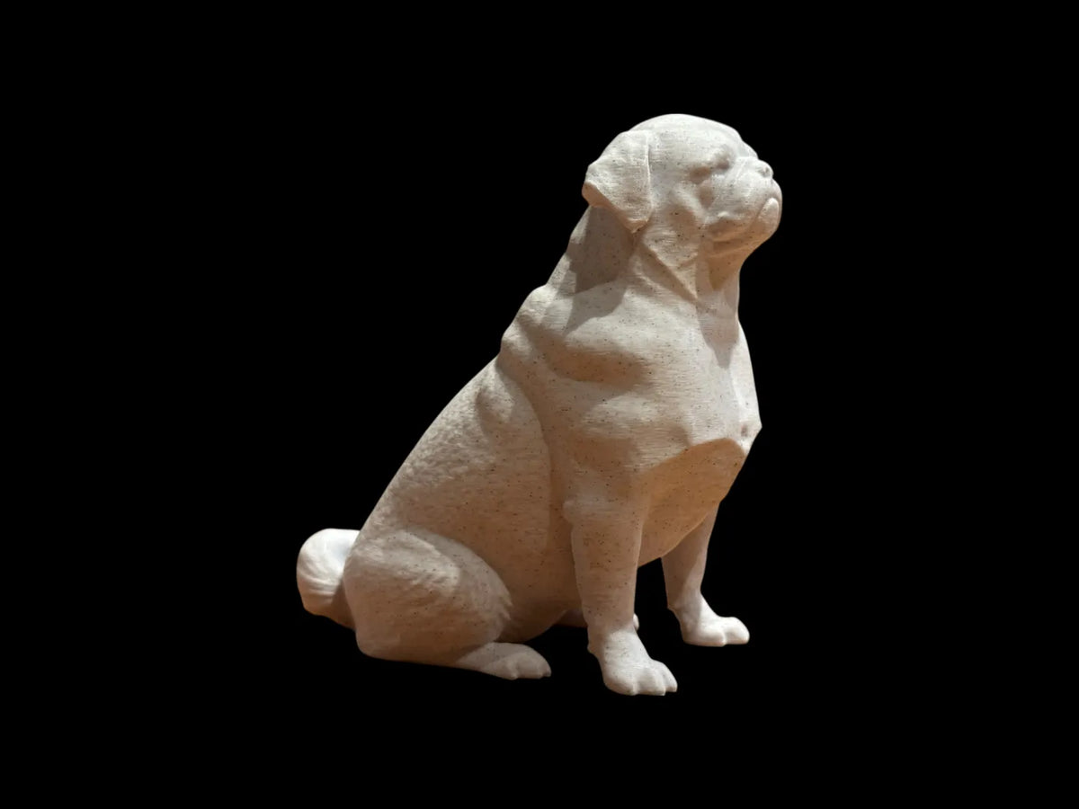 Calm Companion Pug