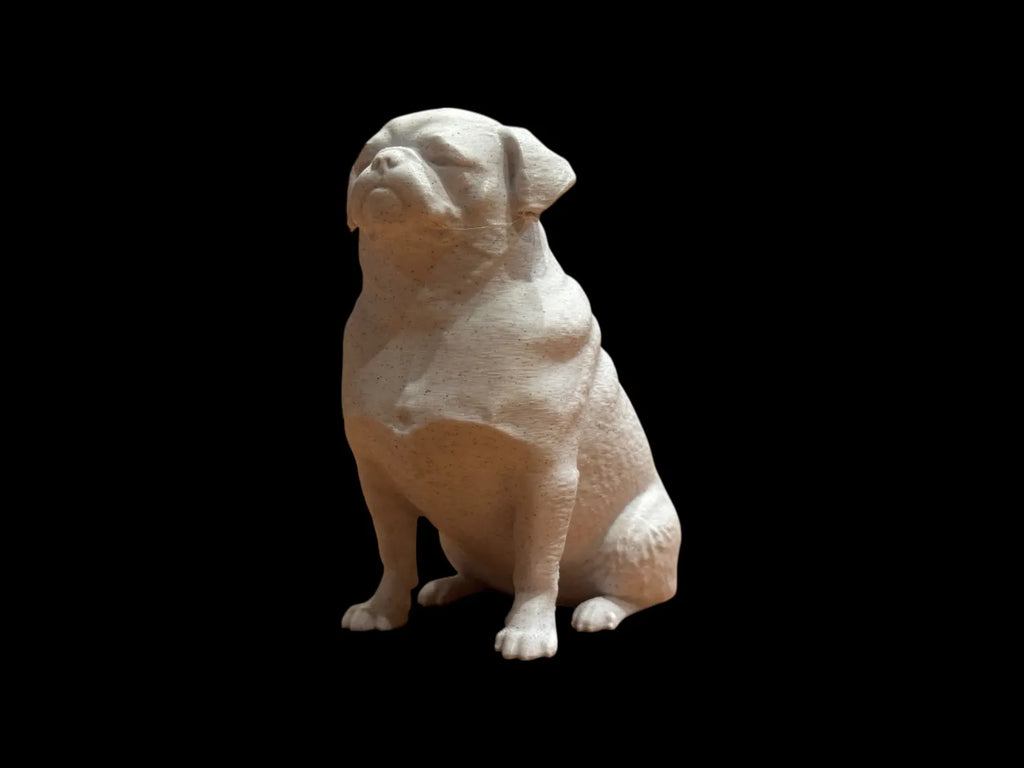 Calm Companion Pug