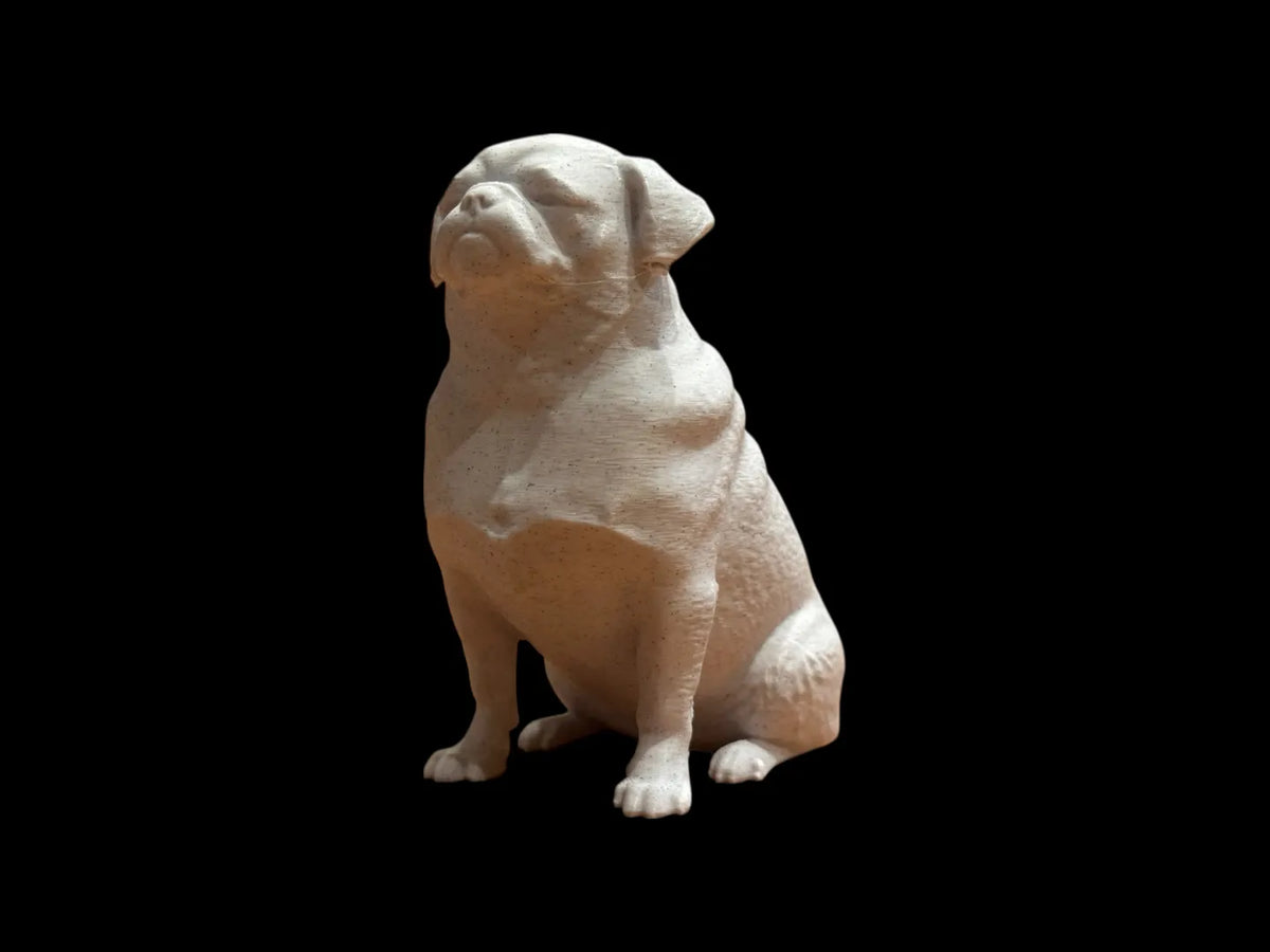 Calm Companion Pug