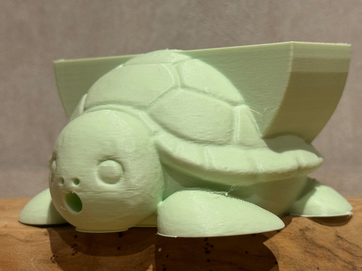 Coral the Sea Turtle Sponge Holder
