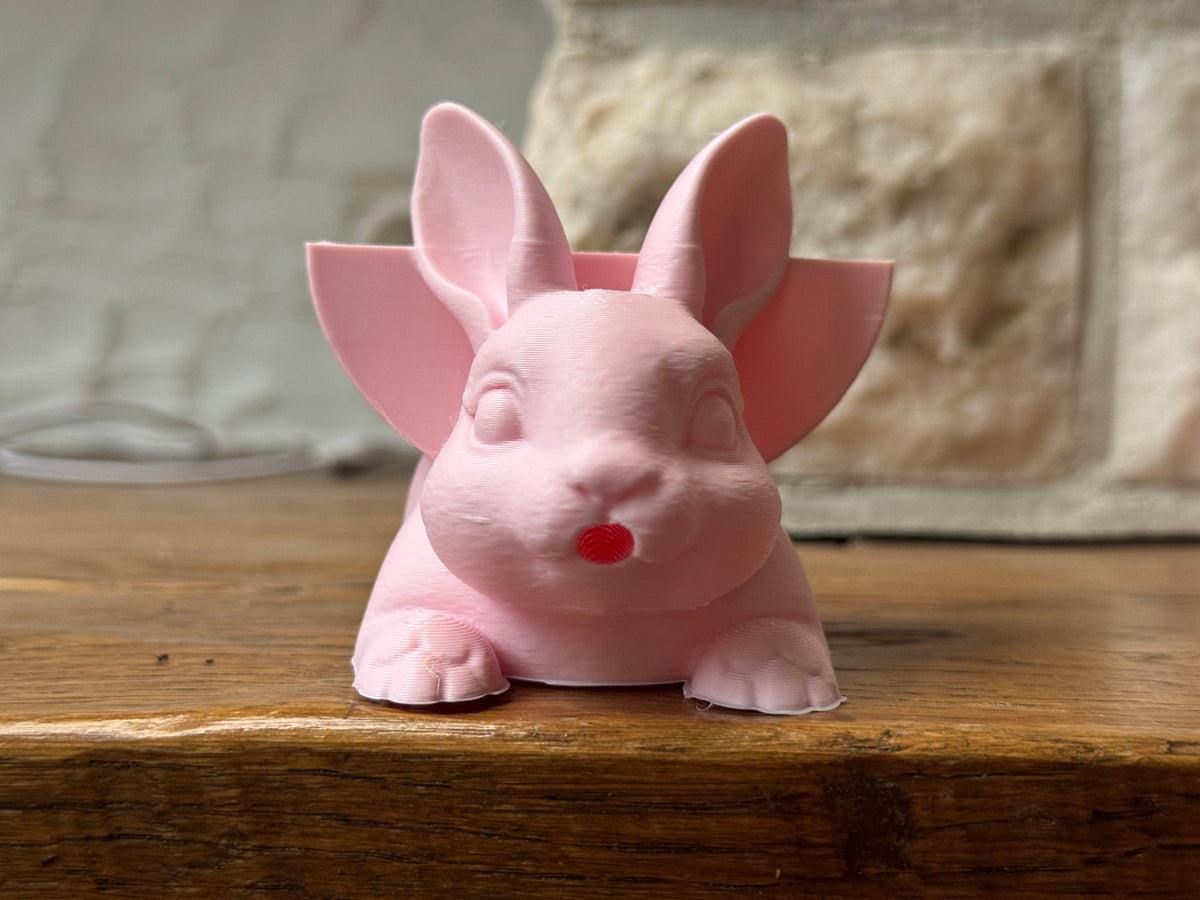 Hazel the Bunny Sponge Holder