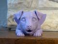 Jackie the Jack Russell Terrier Sponge Holder