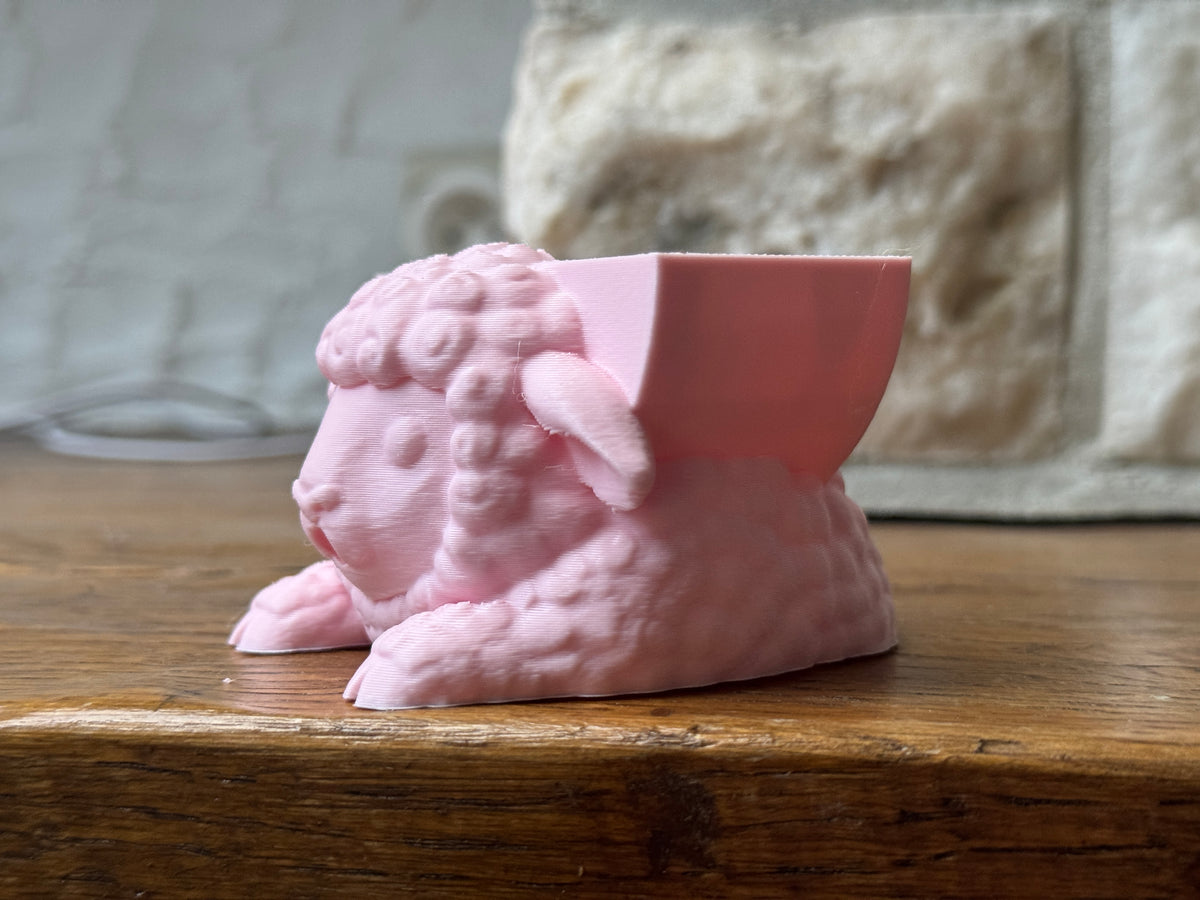 Maisie the Sheep Sponge Holder