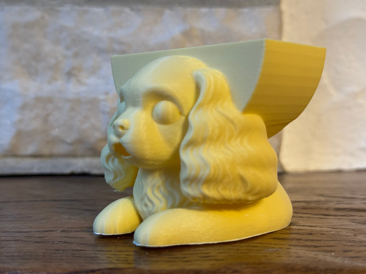 Marlow the Cavalier Sponge Holder