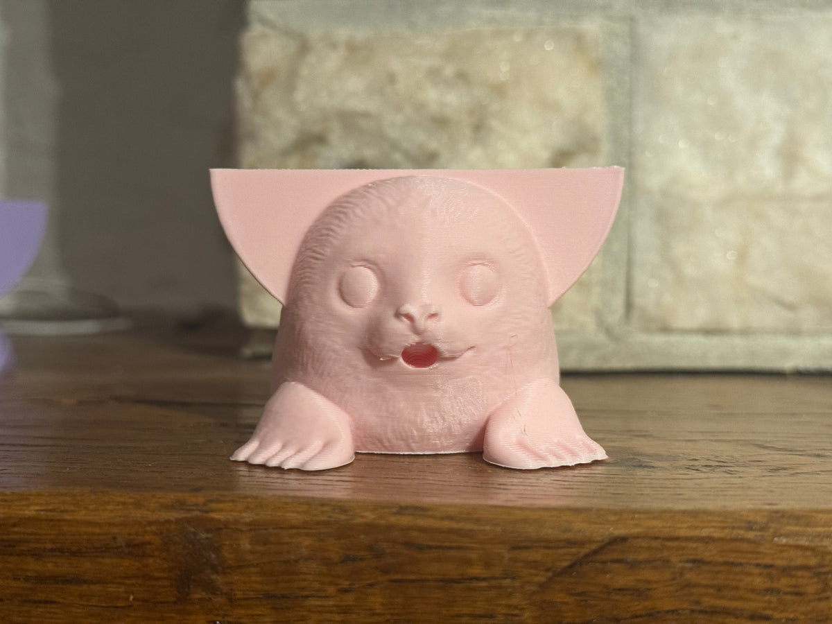 Misty the Seal Sponge Holder