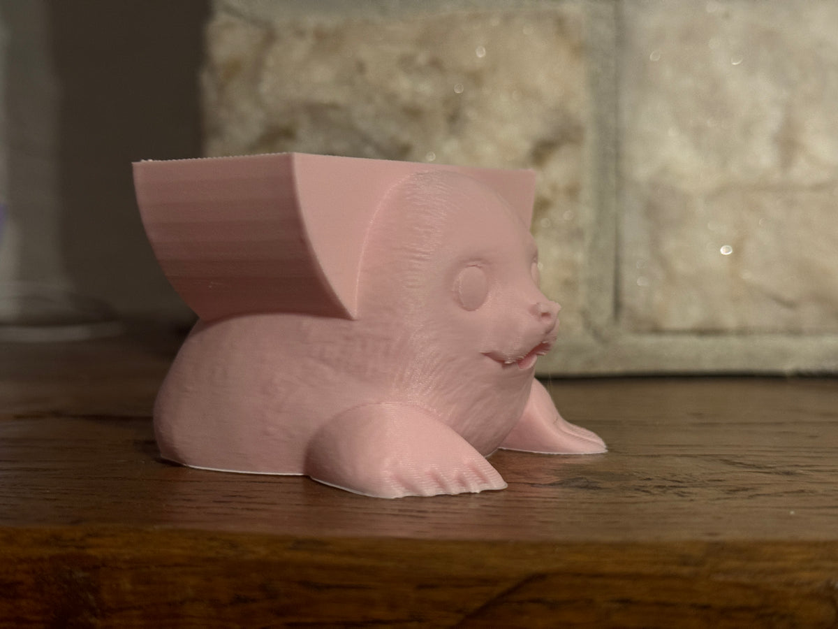 Misty the Seal Sponge Holder