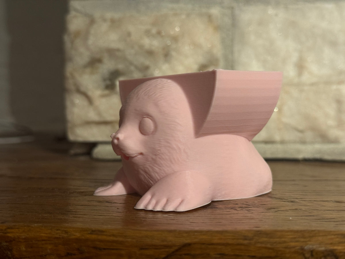 Misty the Seal Sponge Holder
