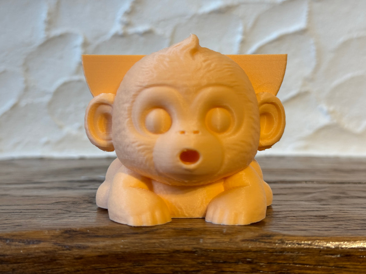 Mojo the Monkey Sponge Holder