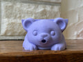 Nori the Teddy Bear Sponge Holder