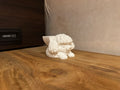Pippa the Poodle Sponge Holder