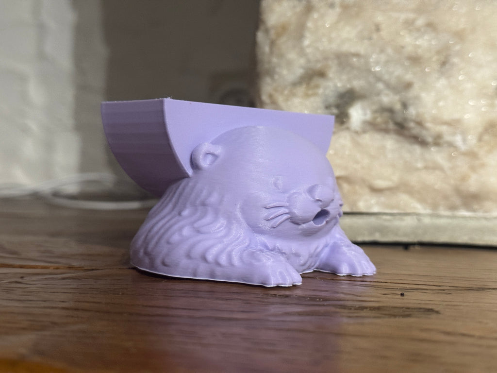 River the Otter Sponge Holder