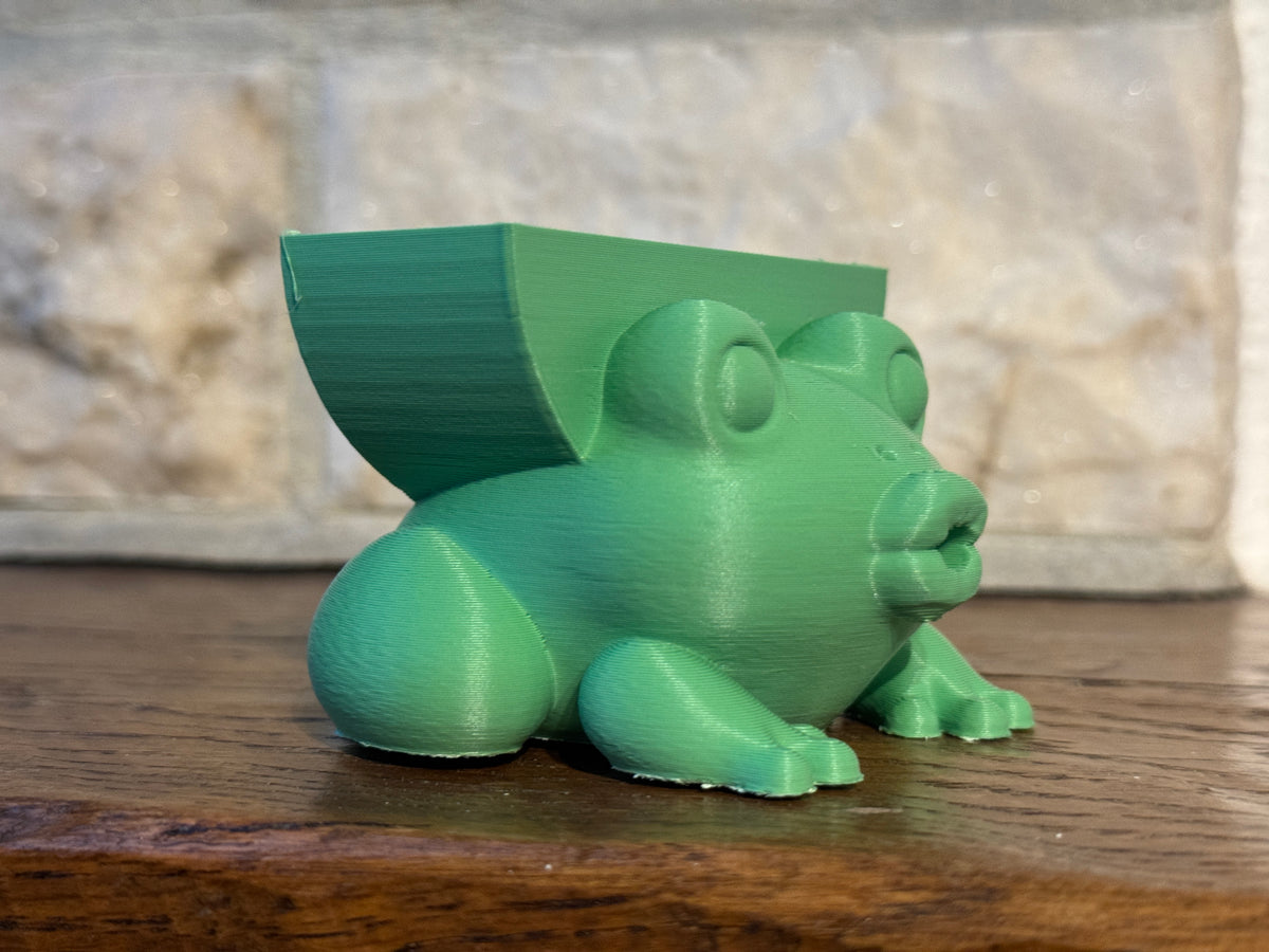 Robyn the Frog Sponge Holder