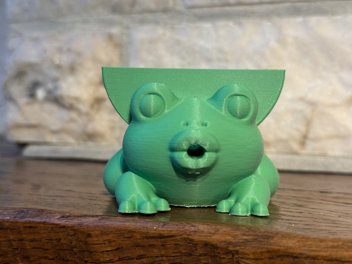 Robyn the Frog Sponge Holder