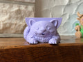 Rocky the Raccoon Sponge Holder
