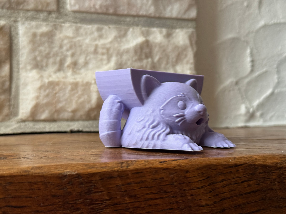 Rocky the Raccoon Sponge Holder