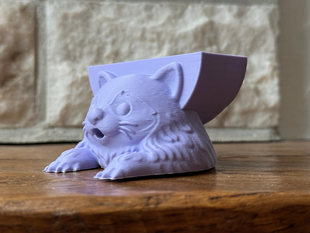Rocky the Raccoon Sponge Holder