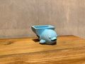 Splash the Dolphin Sponge Holder